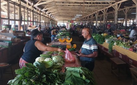 Verkopers Markt-Zuid boos over hogere standtarieven: “We weten niet hoe we dit gaan betalen”