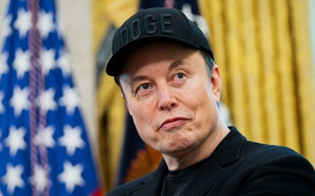 Elon Musk steekt US$ 366 miljoen in verkiezingsstrijd om Republikeinen aan meerderheid te hel