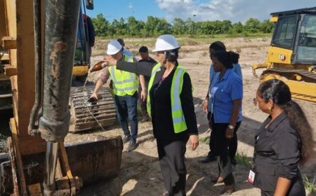 Geschonken woningbouwproject van China eindelijk gestart: ‘Wij willen vóór 2030 een aantal wo