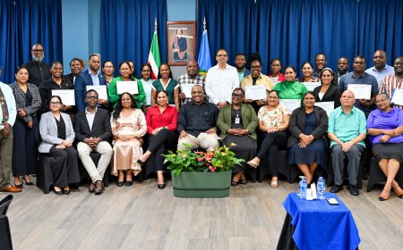 Bouva eist betere dienstverlening aan Surinamers bij ambassades en consulaten