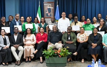 Diplomaten instituut rondt consulaire training af met certificaatuitreiking