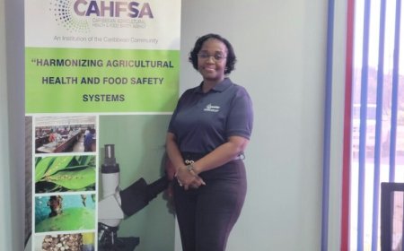 Caribisch agentschap helpt ondernemers bij productontwikkeling en voedselveiligheid