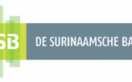 DSB scherpt beveiliging Online Banking aan en verhoogt transactielimiet