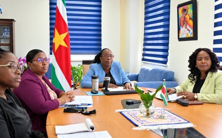 Suriname wil nauwere samenwerking tussen Caricom en Türkiye op handel, energie en voedselzeke