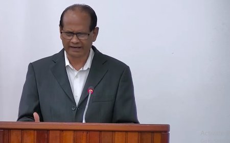 Parmessar wil verplicht verslag ministers na buitenlandse reizen