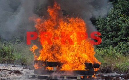 Politie vernietigt 155 kilogram drugs in Para