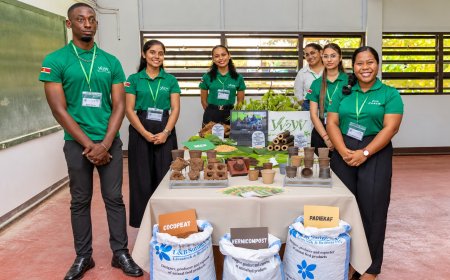 Van rijstkaf tot zaailingpot: Surinaamse studenten op wereldpodium