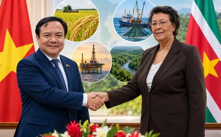 Vietnam wil Suriname helpen uitgroeien tot regionale rijstexporteur