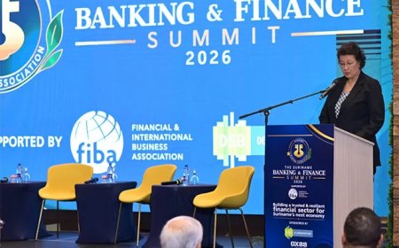 President roept banken op meer te investeren in productieve sectoren