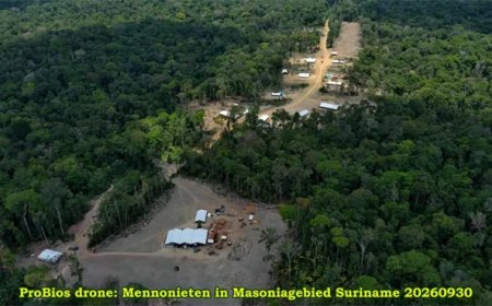 Politie stelt ultimatum ontruiming Masonia, waar Mennonieten buiten concessiegebied verblijve