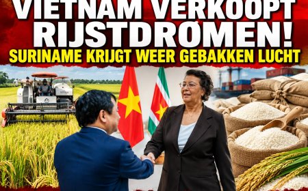 Vietnam verkoopt Suriname rijstdromen: en een bord diplomatieke lucht