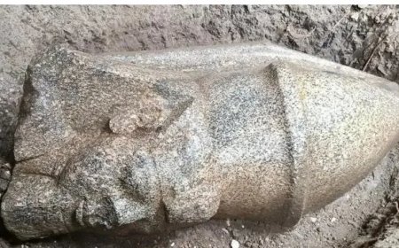 Man vindt steen en ontdekt 3.300 jaar oude Egyptische schat