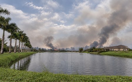 Bewoners Palm Village klagen over wekenlange rookoverlast
