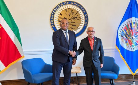 Bouva en Ramdin bespreken extra technische steun voor Suriname