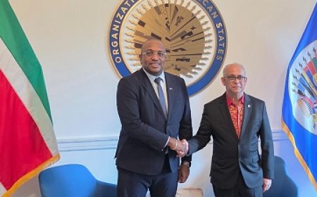 Bouva en Ramdin bespreken versterking samenwerking tussen Suriname en OAS
