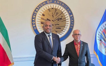 Suriname en OAS bespreken technische steun aan nationale instellingen