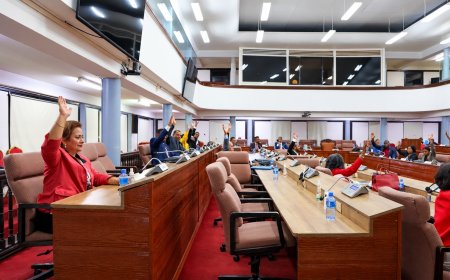Suriname pakt kinderontvoering en alimentatie over de grens aan met vier Haagse verdragen