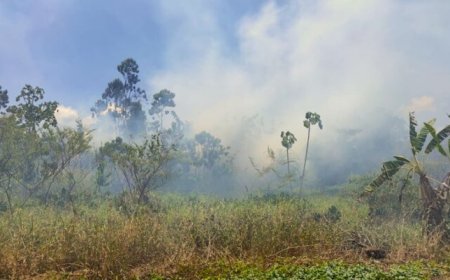 Rookoverlast door bosbrand Commewijne neemt toe