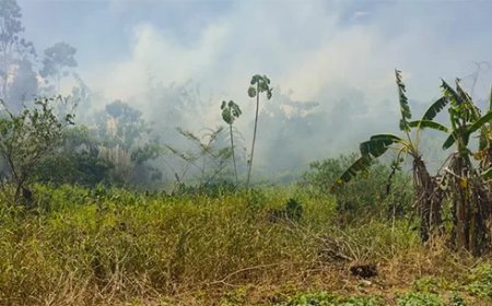 Rook van uitslaande bosbrand Commewijne bereikt Nieuw-Amsterdam, mogelijk ook Paramaribo