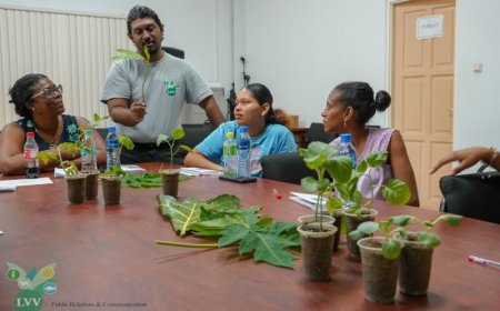 Moestuintraining moet bijdragen aan voedselzekerheid en zelfredzaamheid