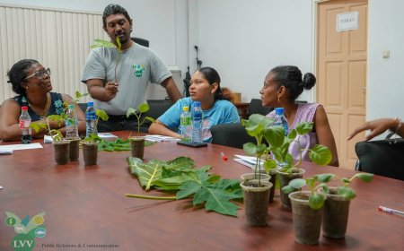 Moestuintraining moet voedselzekerheid en zelfstandigheid vergroten