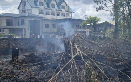 Opnieuw brand in Oranjetuin