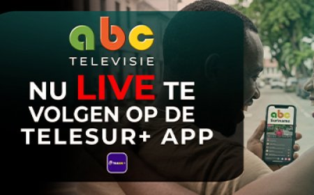 Suriname en Frankrijk versterken samenwerking op het gebied van luchtvaartveiligheid