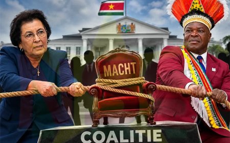 Column: TAS en de politiek van de sterkste