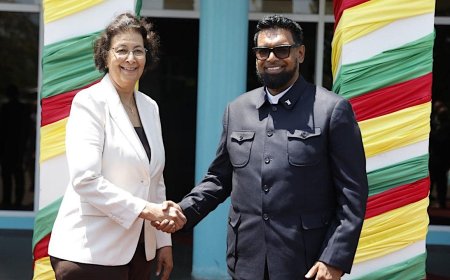 President Ali eist respect voor landsgrenzen van Guyana, maar houdt Tigri bezet