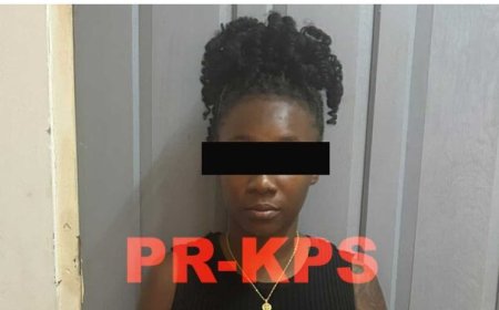 Politie houdt tweede vrouw aan in zaak rond video van Rosco