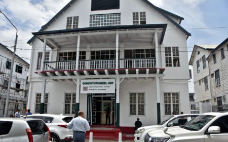 Advocatuur vraagt opnieuw aandacht voor Constitutioneel Hof: ‘Het is de zoveelste keer dat wi