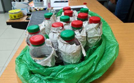 Reizigers proberen verboden dierlijke producten verborgen Suriname binnen te brengen