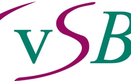 VSB vreest extra kosten en vertragingen door nieuwe douanewet