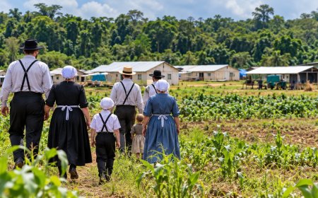 Staat noemt verblijf mennonieten illegaal, aanvragen nog onbeantwoord