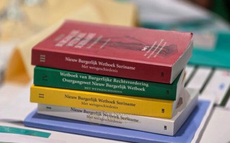DNA-voorzitter Adhin kijkt uit naar aanbevelingen evaluatie NBW