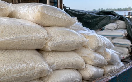 Baasaron wil illegaal ingevoerde rijst laten vernietigen vanwege mogelijk gezondheidsrisico
