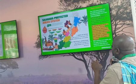 VSG eist op COP17 concrete actie voor grondrechten Saamaka
