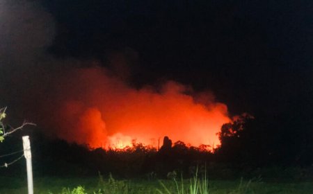 OWRO waarschuwt voor brandgevaar door verbranden van tuinafval
