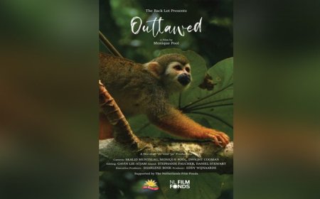 Filmrecensie: Een visueel gedicht dat niet volledig landt