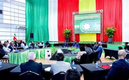 Stroomtekort Suriname kan oplopen tot 140 megawatt in 2030