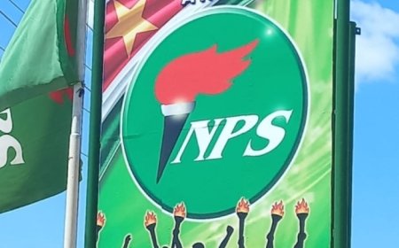 NPS meldt indiening inkomsten en vermogensverklaringen
