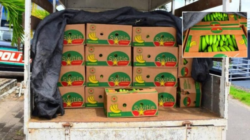 Guyana verbiedt import van Surinaamse bacoven