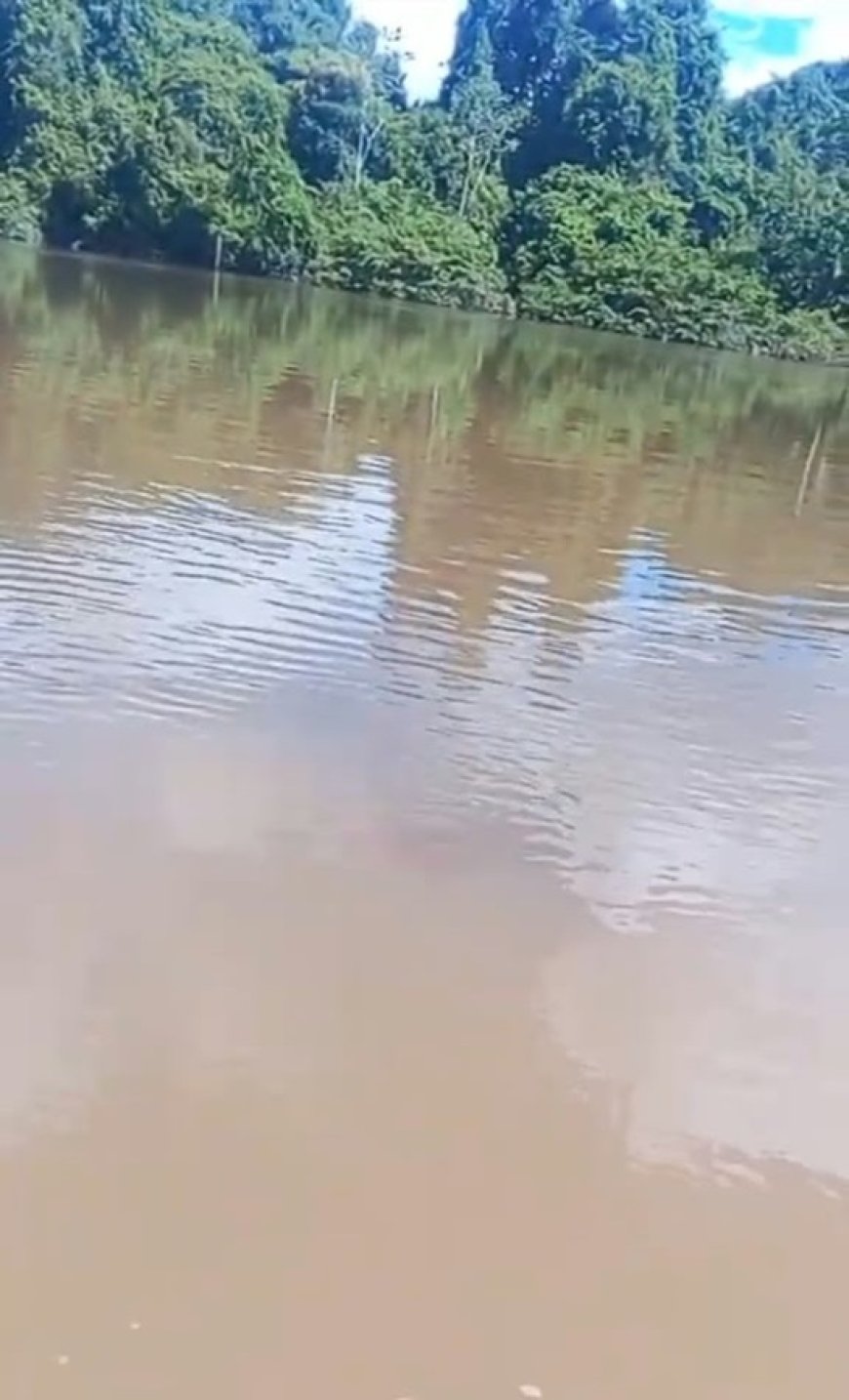 Bruin water in Manikreek baart samenleving Coeroeni grote zorgen
