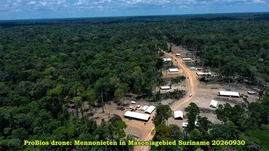 Sleur: Mennonietenkamp Masonia ligt buiten concessiegebied