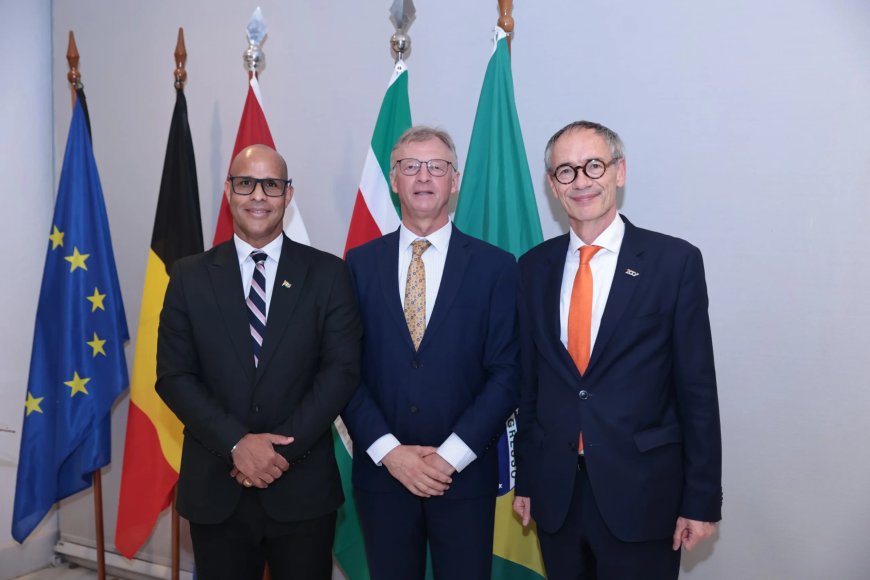 Surinaamse boeken in Brasília