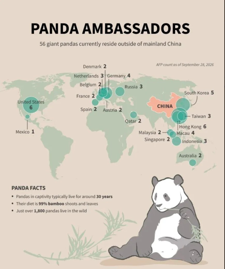 Panda’s als ambassadeurs van China