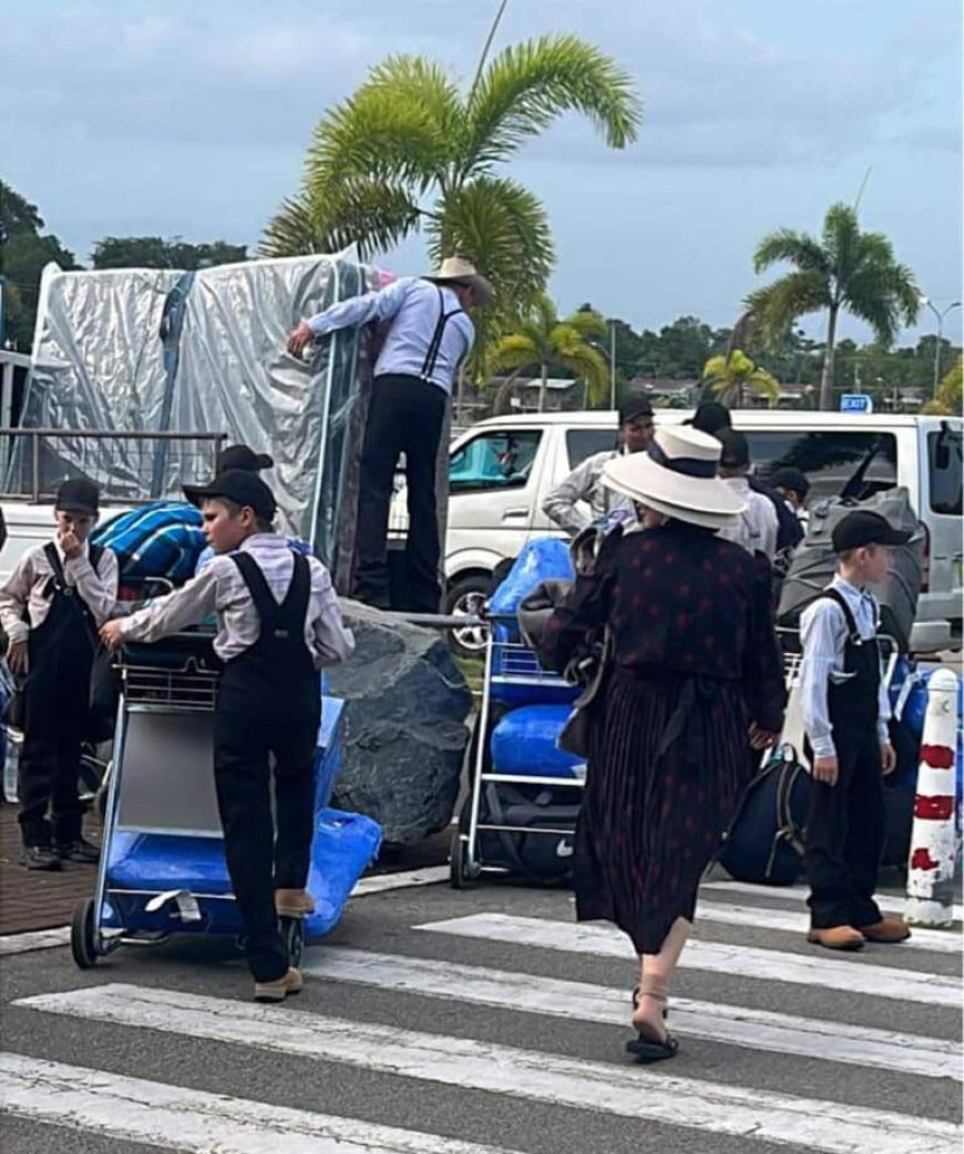 DE MENNONIETEN VAN DE NDP