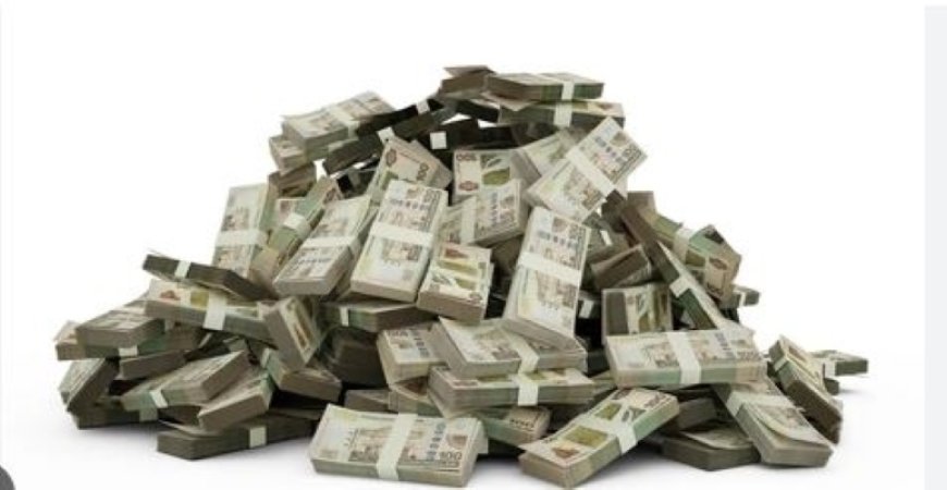 Nieuwe buitenlandse leningen in voorbereiding bij regering – Ook geld lenen op binnenlandse m