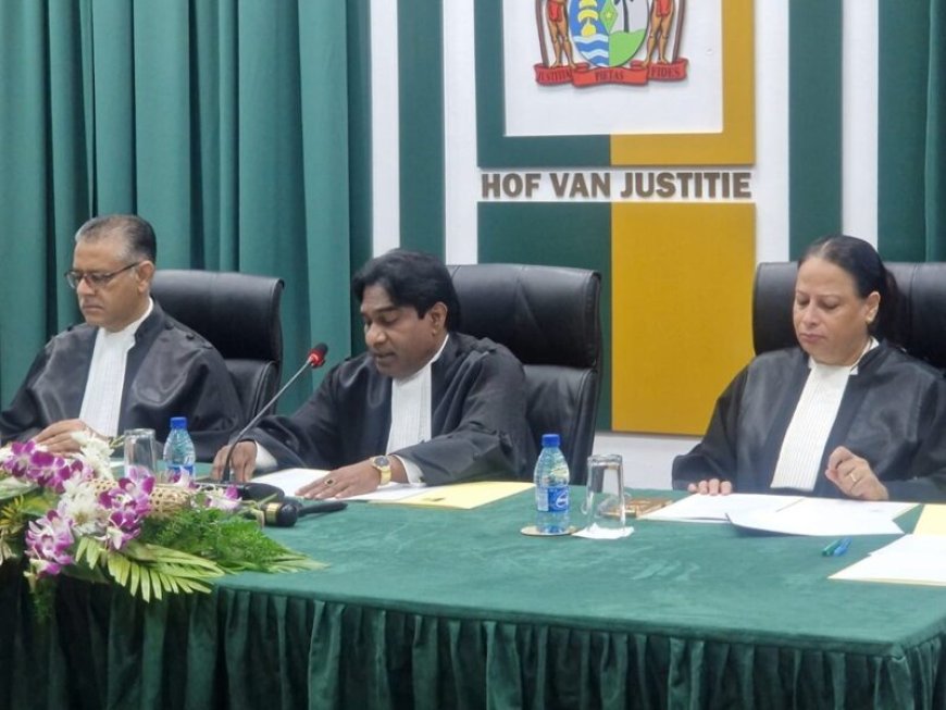 DNA-voorzitter Adhin: ‘Hof van Justitie mag rekenen op verdere afstemming over modernisering 