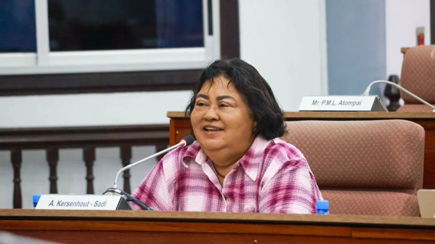 Jennifer van Dijk-Silos licht parlement toe over evaluatie money laundering